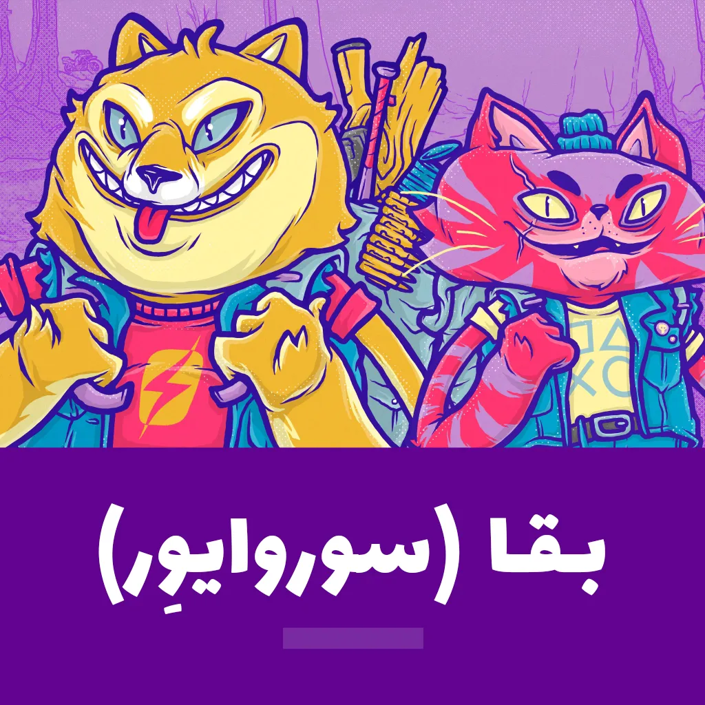 بقا و دوام