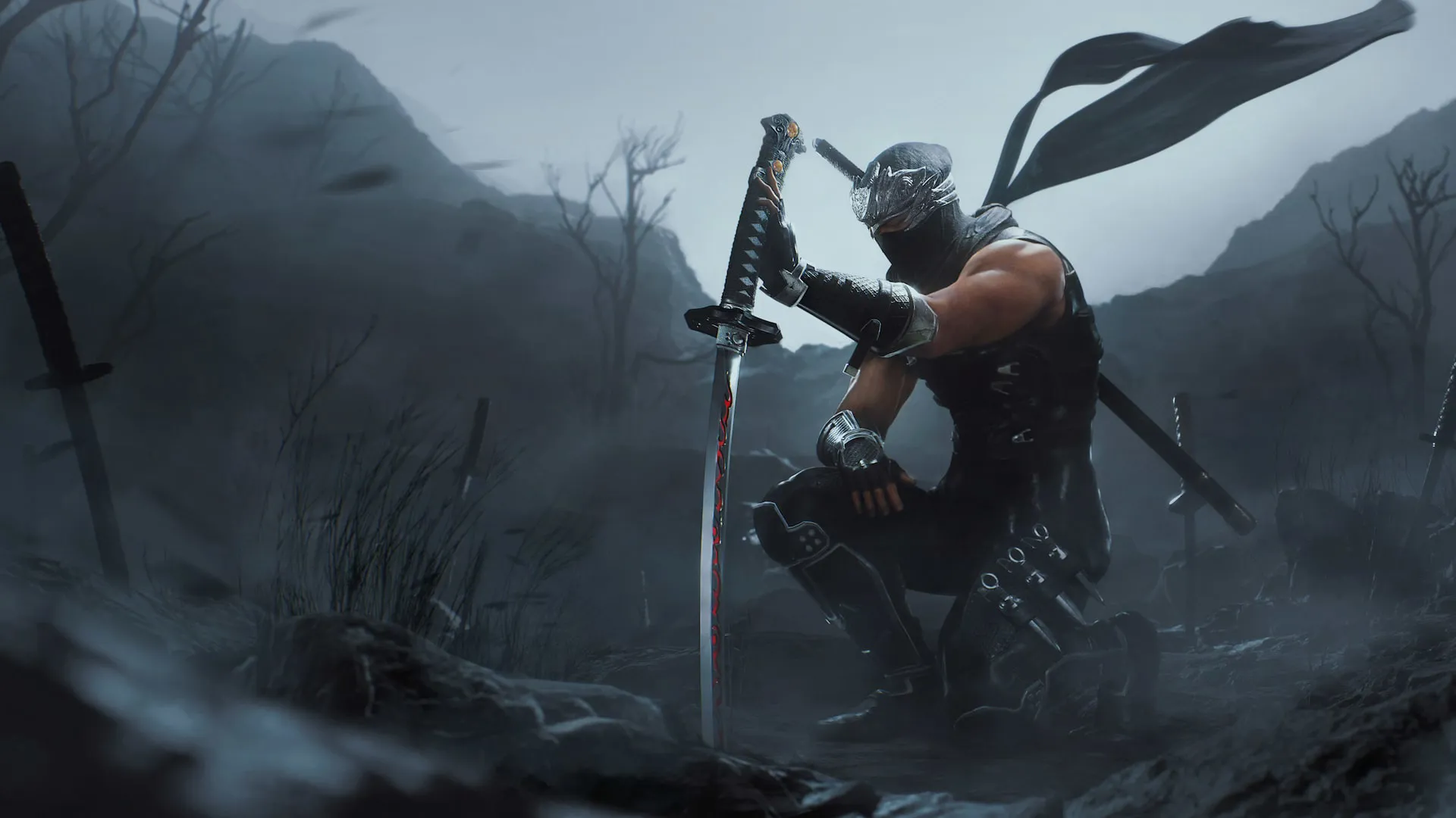 Ninja Gaiden 2 Black