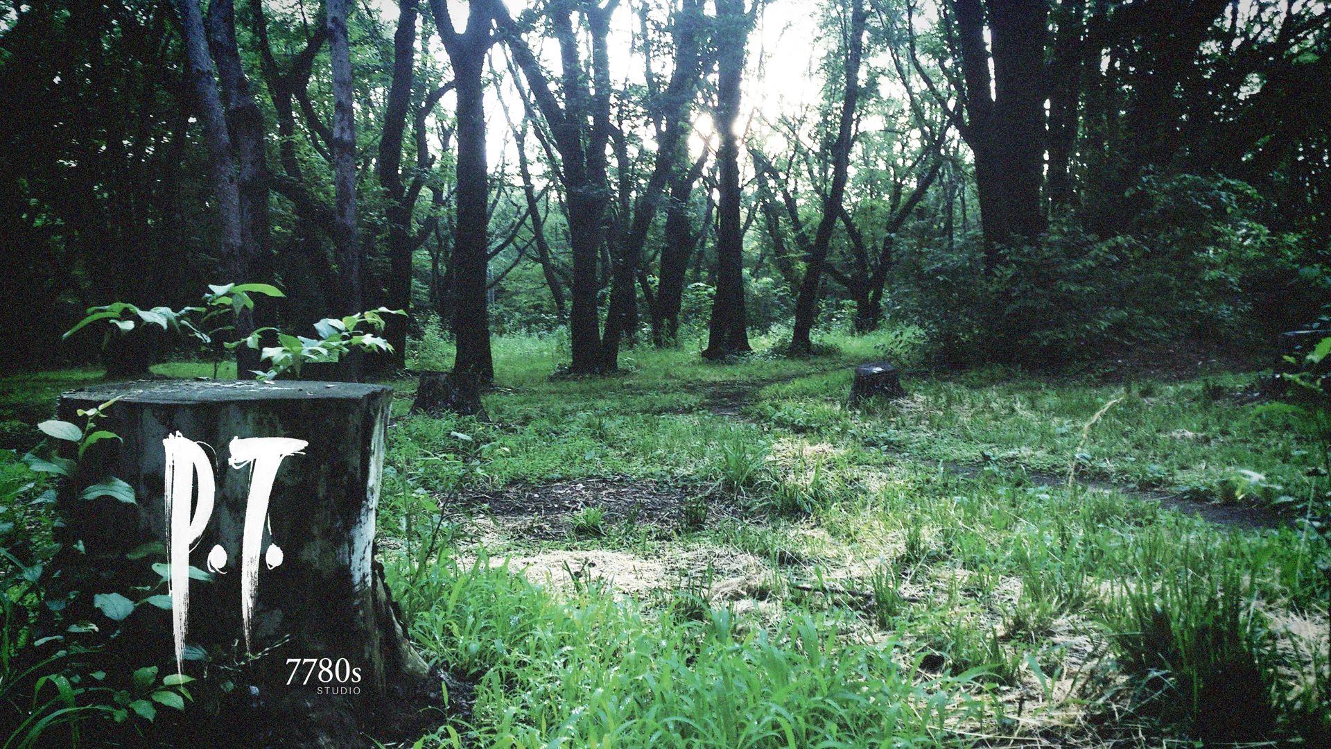 P.T. Demo