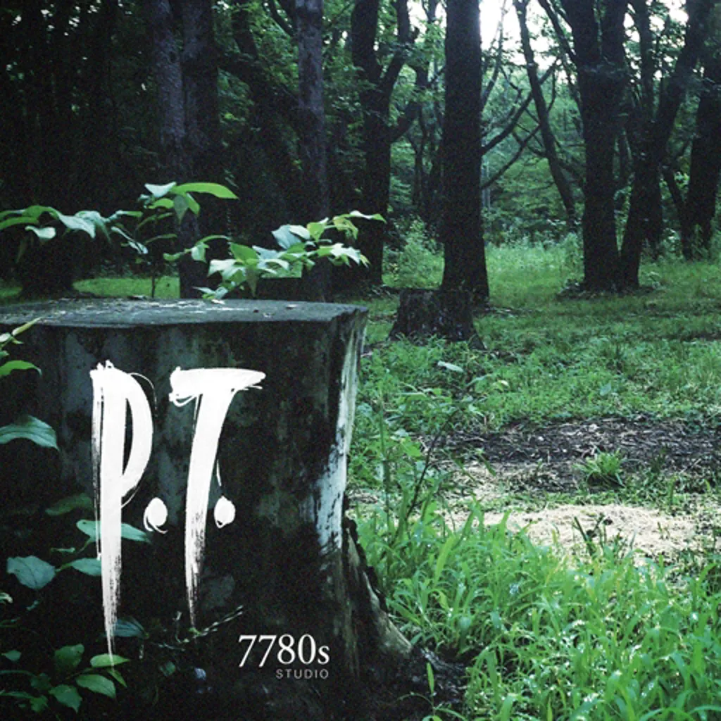 P.T. Demo