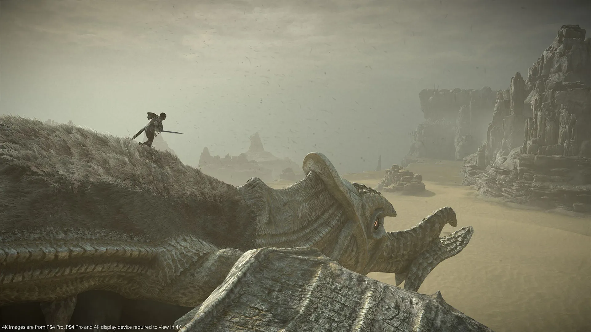 Shadow of Colossus