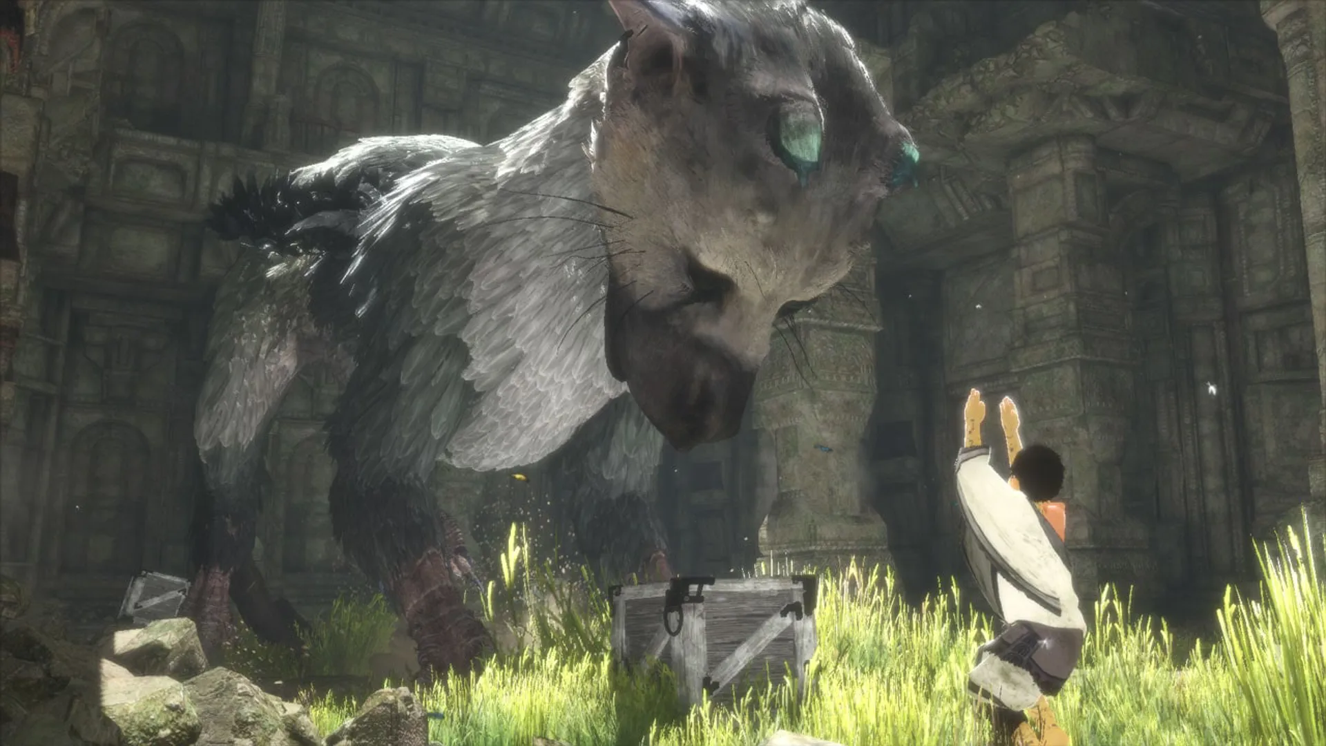 The Last Guardian