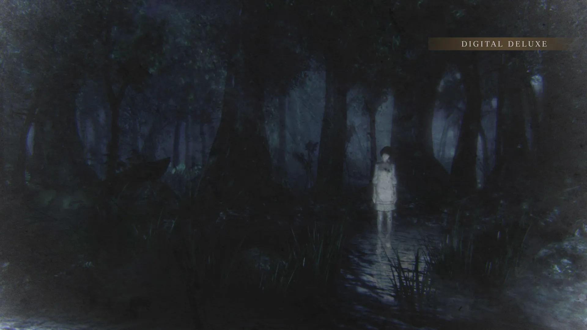 Fatal Frame Maiden of Black Water
