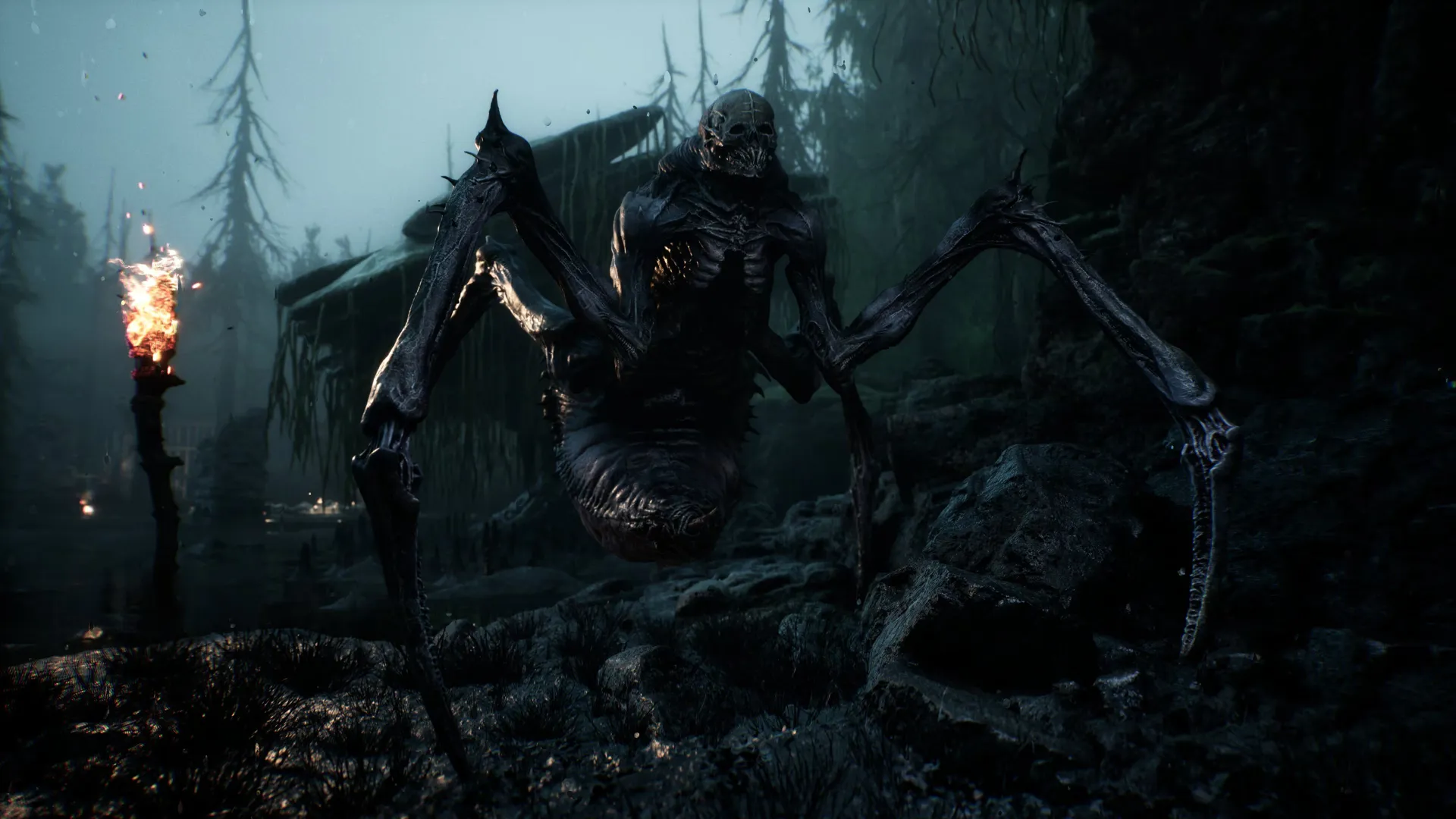 Mortal Shell II