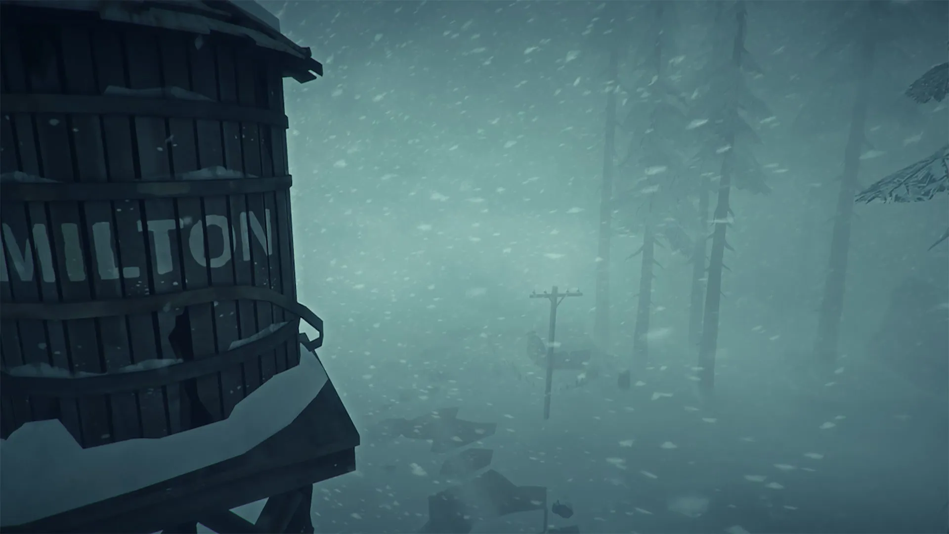 The Long Dark