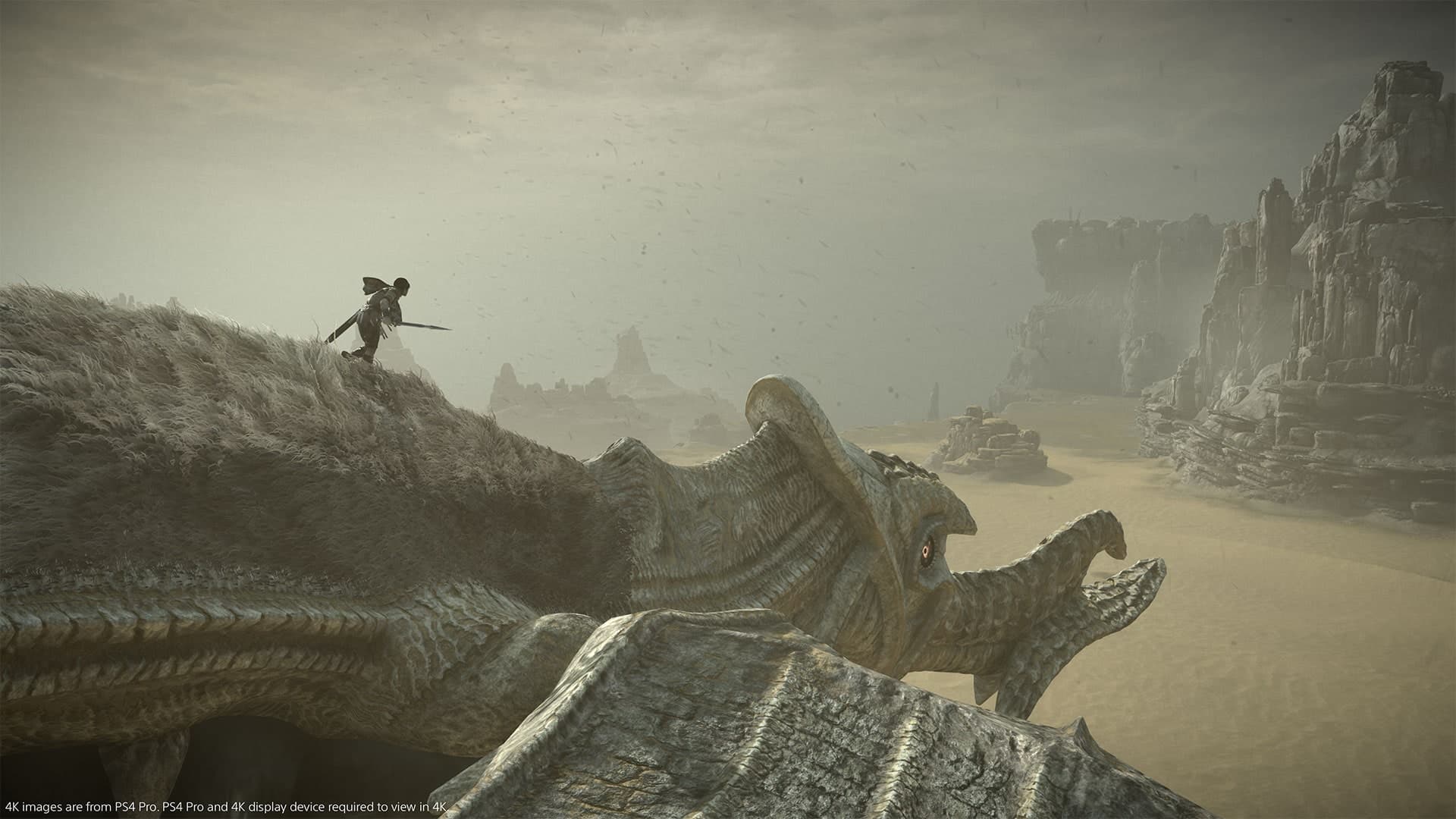 Shadow of Colossus