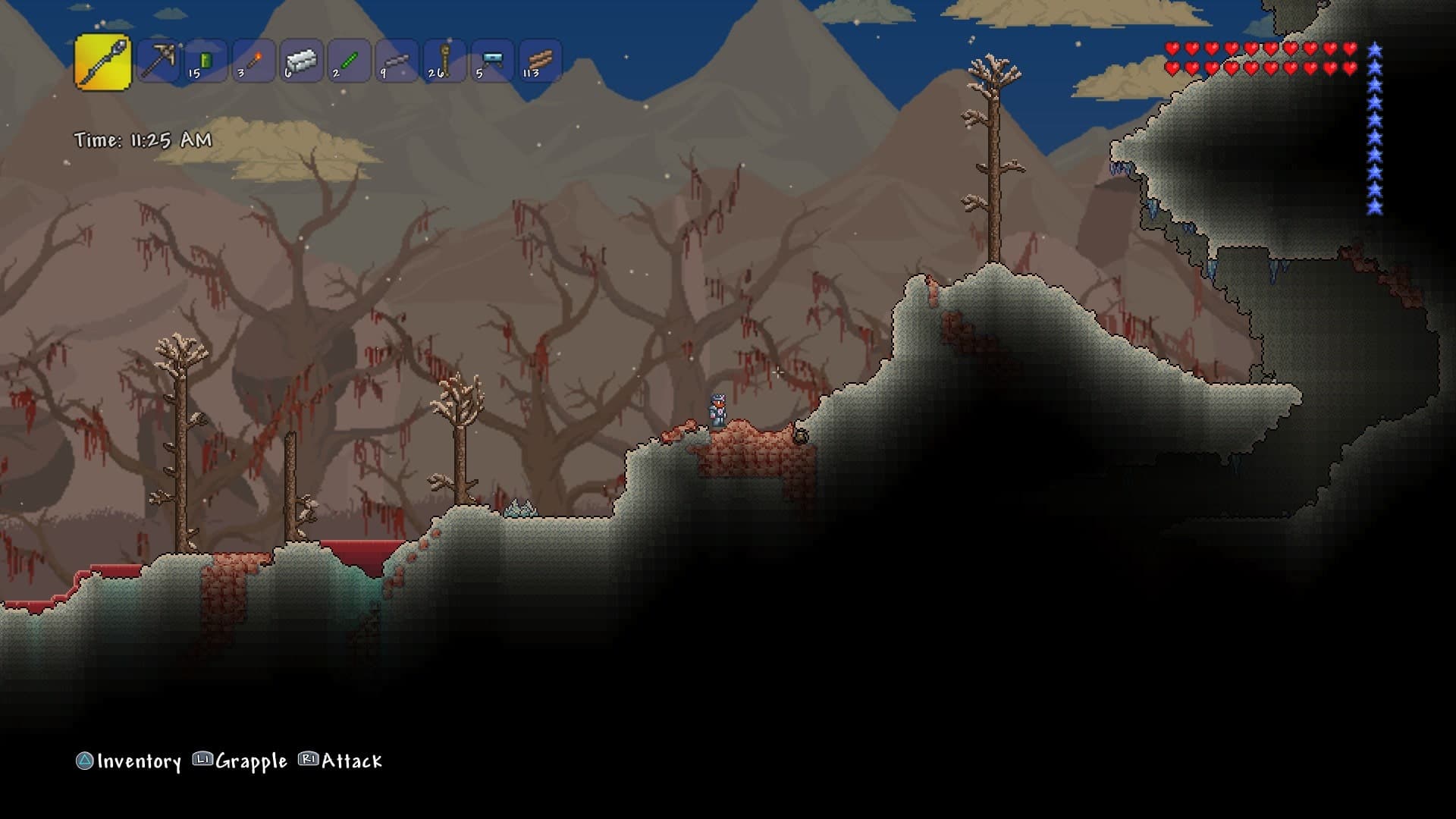 Terraria